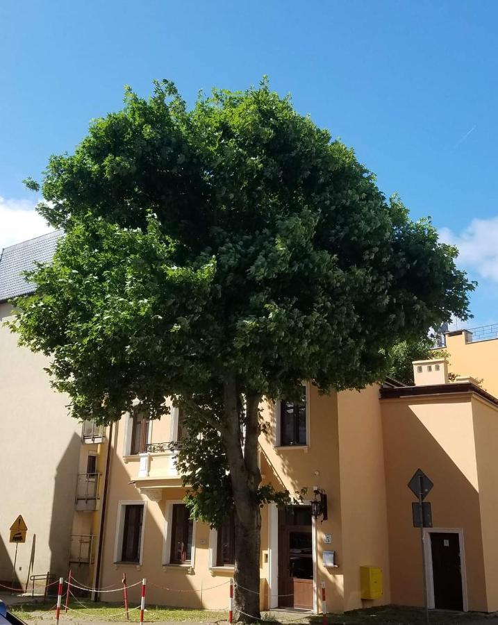 Apartamenty Na Cichej 5 A4 Kołobrzeg Exteriör bild